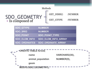 SDO_GEOMETRY Is composed of CREATE TABLE forest( name VARCHAR2(30), animal_population NUMBER(9), geom MDSYS.SDO_GEOMETRY); Methods GET_DIMS()  :NUMBER GET_GTYPE  :NUMBER 