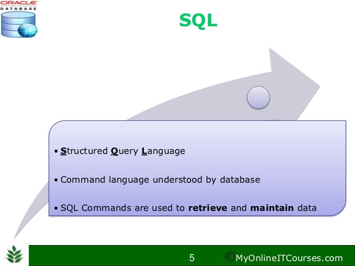 Oracle SQL Self Study