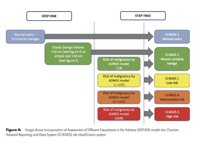 O'rads Radiology 2020 | PPTX