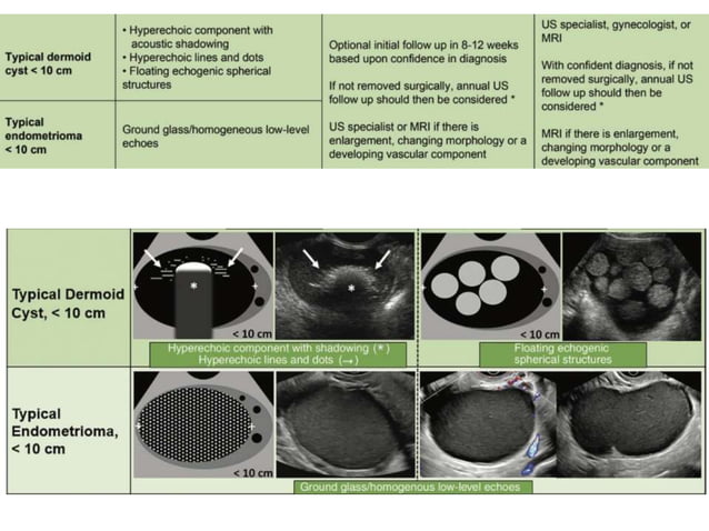 O'rads Radiology 2020 | PPTX