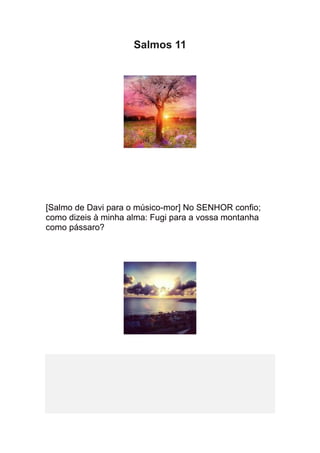 Salmos 11




[Salmo de Davi para o músico-mor] No SENHOR confio;
como dizeis à minha alma: Fugi para a vossa montanha
como pássaro?
 