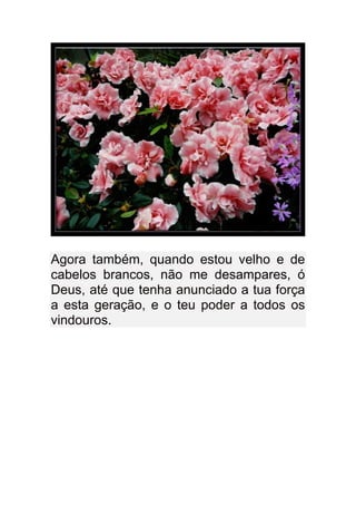 Agora também, quando estou velho e de
cabelos brancos, não me desampares, ó
Deus, até que tenha anunciado a tua força
a esta geração, e o teu poder a todos os
vindouros.
 