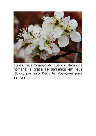 Tu és mais formoso do que os filhos dos
homens; a graça se derramou em teus
lábios; por isso Deus te abençoou para
sempre.
 