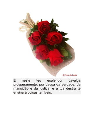 E    neste    teu     esplendor cavalga
prosperamente, por causa da verdade, da
mansidão e da justiça; e a tua destra te
ensinará coisas terríveis.
 