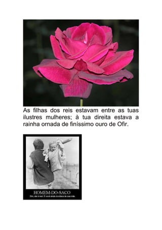 As filhas dos reis estavam entre as tuas
ilustres mulheres; à tua direita estava a
rainha ornada de finíssimo ouro de Ofir.
 