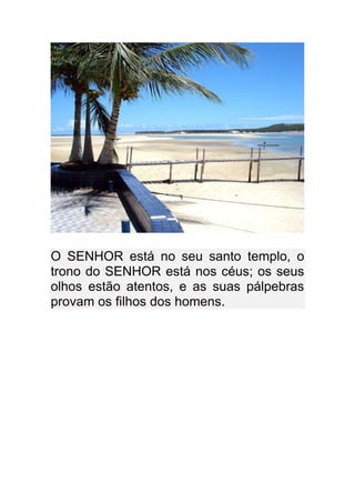 O SENHOR está no seu santo templo, o
trono do SENHOR está nos céus; os seus
olhos estão atentos, e as suas pálpebras
provam os filhos dos homens.
 