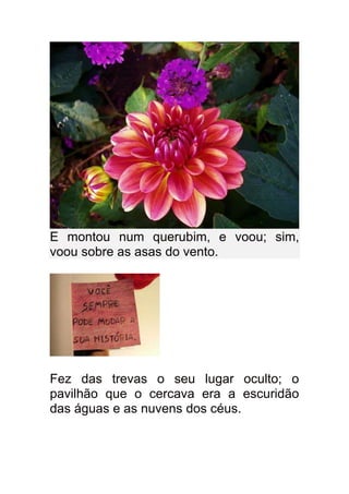 E montou num querubim, e voou; sim,
voou sobre as asas do vento.




Fez das trevas o seu lugar oculto; o
pavilhão que o cercava era a escuridão
das águas e as nuvens dos céus.
 
