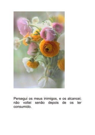 Persegui os meus inimigos, e os alcancei;
não voltei senão depois de os ter
consumido.
 