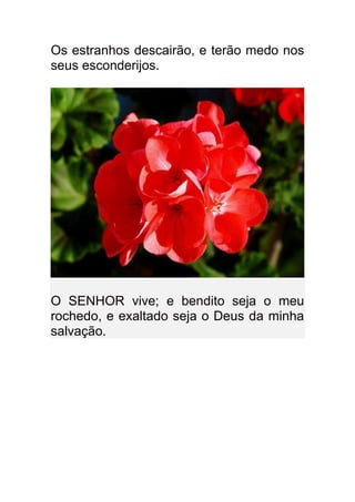 Os estranhos descairão, e terão medo nos
seus esconderijos.




O SENHOR vive; e bendito seja o meu
rochedo, e exaltado seja o Deus da minha
salvação.
 