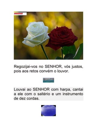Regozijai-vos no SENHOR, vós justos,
pois aos retos convém o louvor.



Louvai ao SENHOR com harpa, cantai
a ele com o saltério e um instrumento
de dez cordas.
 