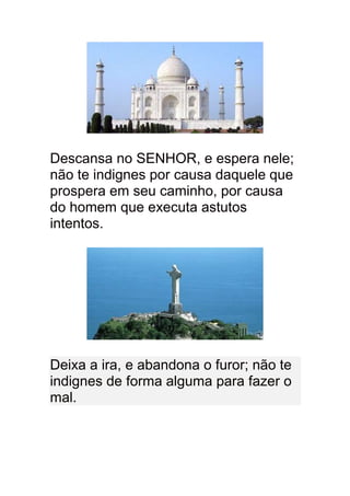 Descansa no SENHOR, e espera nele;
não te indignes por causa daquele que
prospera em seu caminho, por causa
do homem que executa astutos
intentos.




Deixa a ira, e abandona o furor; não te
indignes de forma alguma para fazer o
mal.
 