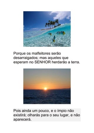 Porque os malfeitores serão
desarraigados; mas aqueles que
esperam no SENHOR herdarão a terra.




Pois ainda um pouco, e o ímpio não
existirá; olharás para o seu lugar, e não
aparecerá.
 