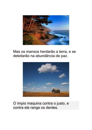 Mas os mansos herdarão a terra, e se
deleitarão na abundância de paz.




O ímpio maquina contra o justo, e
contra ele range os dentes.
 
