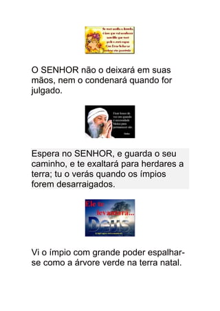 O SENHOR não o deixará em suas
mãos, nem o condenará quando for
julgado.




Espera no SENHOR, e guarda o seu
caminho, e te exaltará para herdares a
terra; tu o verás quando os ímpios
forem desarraigados.




Vi o ímpio com grande poder espalhar-
se como a árvore verde na terra natal.
 