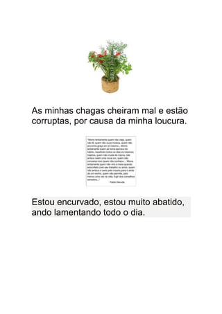 As minhas chagas cheiram mal e estão
corruptas, por causa da minha loucura.




Estou encurvado, estou muito abatido,
ando lamentando todo o dia.
 