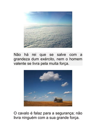 Não há rei que se salve com a
grandeza dum exército, nem o homem
valente se livra pela muita força.




O cavalo é falaz para a segurança; não
livra ninguém com a sua grande força.
 