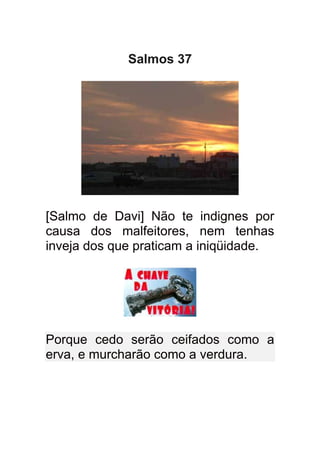 Salmos 37




[Salmo de Davi] Não te indignes por
causa dos malfeitores, nem tenhas
inveja dos que praticam a iniqüidade.




Porque cedo serão ceifados como a
erva, e murcharão como a verdura.
 