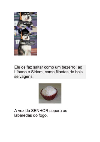 Ele os faz saltar como um bezerro; ao
Líbano e Siriom, como filhotes de bois
selvagens.




A voz do SENHOR separa as
labaredas do fogo.
 