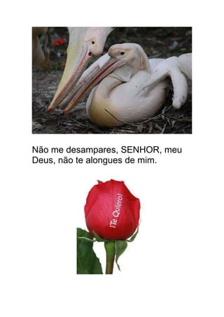 Não me desampares, SENHOR, meu
Deus, não te alongues de mim.
 