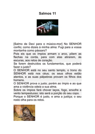 Salmos 11




[Salmo de Davi para o músico-mor] No SENHOR
confio; como dizeis à minha alma: Fugi para a vossa
montanha como pássaro?
Pois eis que os ímpios armam o arco, põem as
flechas na corda, para com elas atirarem, às
escuras, aos retos de coração.
Se forem destruídos os fundamentos, que poderá
fazer o justo?
O SENHOR está no seu santo templo, o trono do
SENHOR está nos céus; os seus olhos estão
atentos, e as suas pálpebras provam os filhos dos
homens.
O SENHOR prova o justo; porém ao ímpio e ao que
ama a violência odeia a sua alma.
Sobre os ímpios fará chover laços, fogo, enxofre e
vento tempestuoso; isto será a porção do seu copo.
Porque o SENHOR é justo, e ama a justiça; o seu
rosto olha para os retos.
 