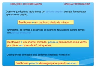 Observe que logo no título temos um período simples, ou seja, formado por
apenas uma oração:
Beethoven é um cachorro cheio de mimos.
Entretanto, ao lermos a descrição do cachorro feita abaixo da foto temos
um período composto:
Beethoven é um sharpei mimado, passeia pelo menos duas vezes
por dia e tem mais de 40 brinquedos.
Outro período composto que podemos encontrar no texto é:
Beethoven parecia desengonçado quando nasceu.
ORAÇÕES COORDENADAS LÍNGUA PORTUGUESA
 