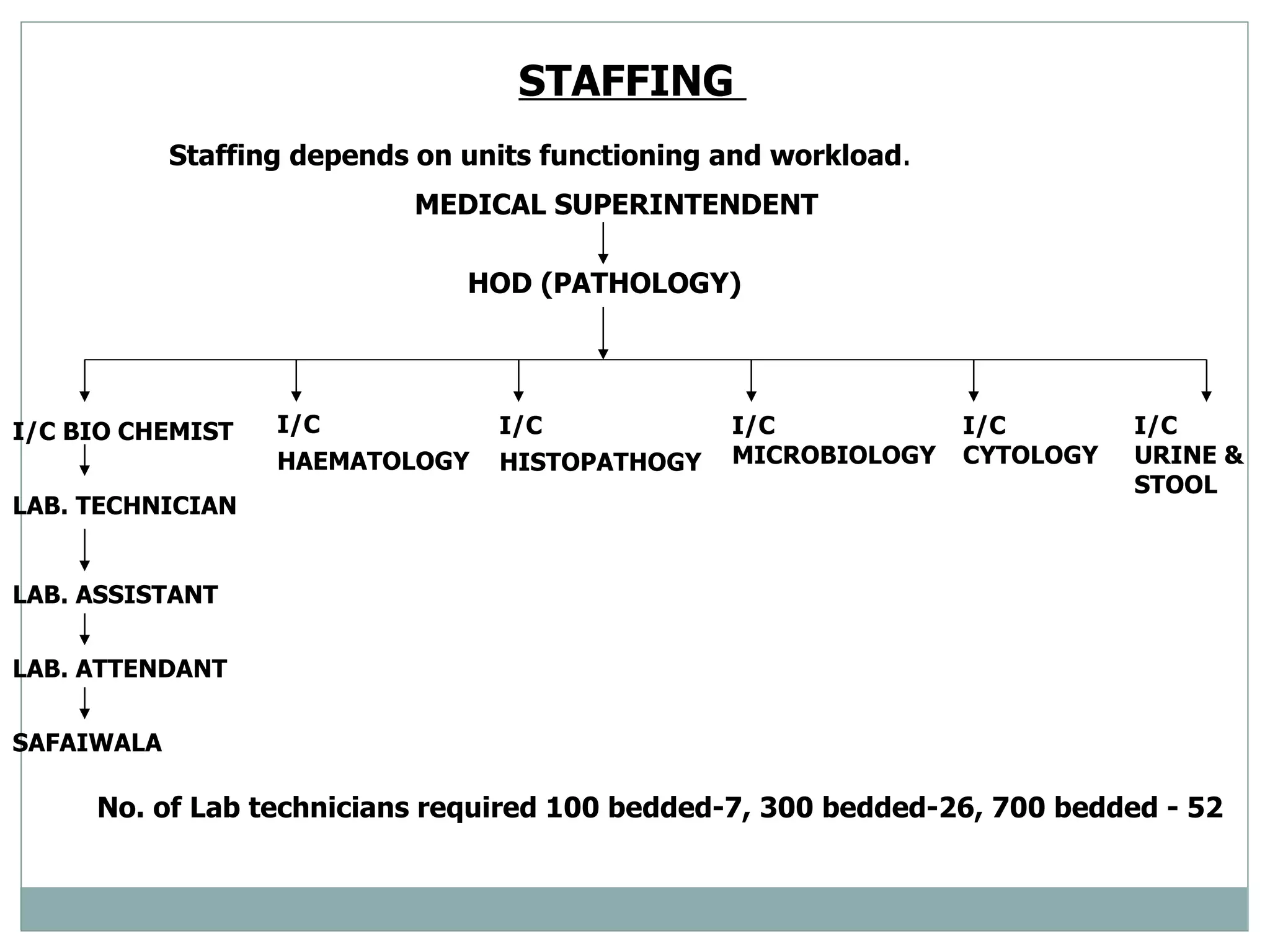 STAFFING  Staffing depends on units functioning and workload . MEDICAL SUPERINTENDENT  HOD (PATHOLOGY) I/C BIO CHEMIST   LAB. TECHNICIAN   LAB. ASSISTANT   LAB. ATTENDANT   SAFAIWALA  I/C  HAEMATOLOGY   I/C  HISTOPATHOGY   I/C MICROBIOLOGY I/C  CYTOLOGY I/C URINE & STOOL No. of Lab technicians required 100 bedded-7, 300 bedded-26, 700 bedded - 52 