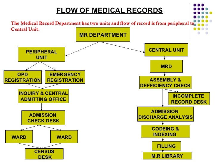 Medical Records Department Organizational Chart
