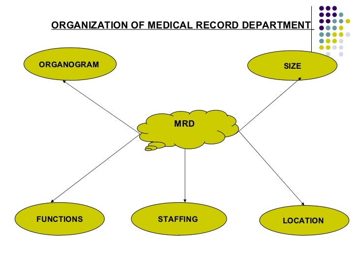 Organization of Medical Record