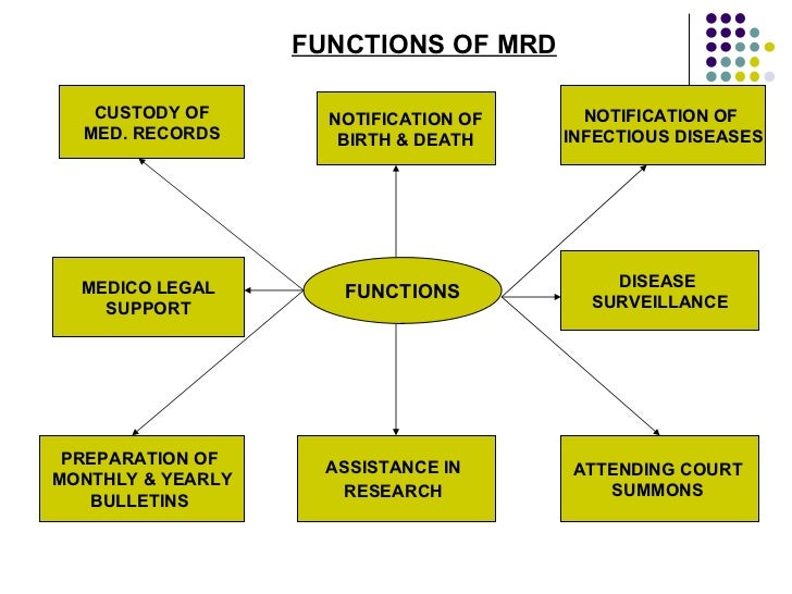 Organization of Medical Record