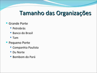 Grande Porte Petrobrás Banco do Brasil Tam Pequeno Porte Companhia Paulista Du Norte Bombom do Pará Tamanho das Organizações  