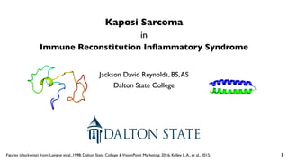 Jackson David Reynolds, BS,AS
Dalton State College
Kaposi Sarcoma
in
Immune Reconstitution Inflammatory Syndrome
Figures (clockwise) from: Lavigne et al.,1998; Dalton State College &VisionPoint Marketing, 2016; Kelley L.A., et al., 2015. 1
 