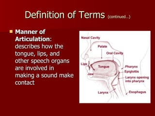 Definition of Terms  (continued…) Manner of Articulation : describes how the tongue, lips, and other speech organs are involved in making a sound make contact  