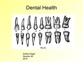 Dental Health Ashley Nagel Session #4 2010 