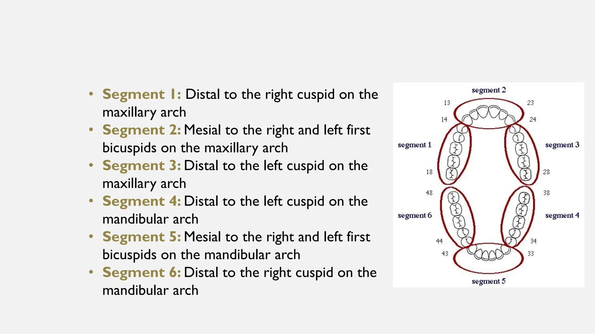Oral Hygine Index and oral hygiene index simplified PPT