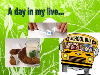 A day in my live... 