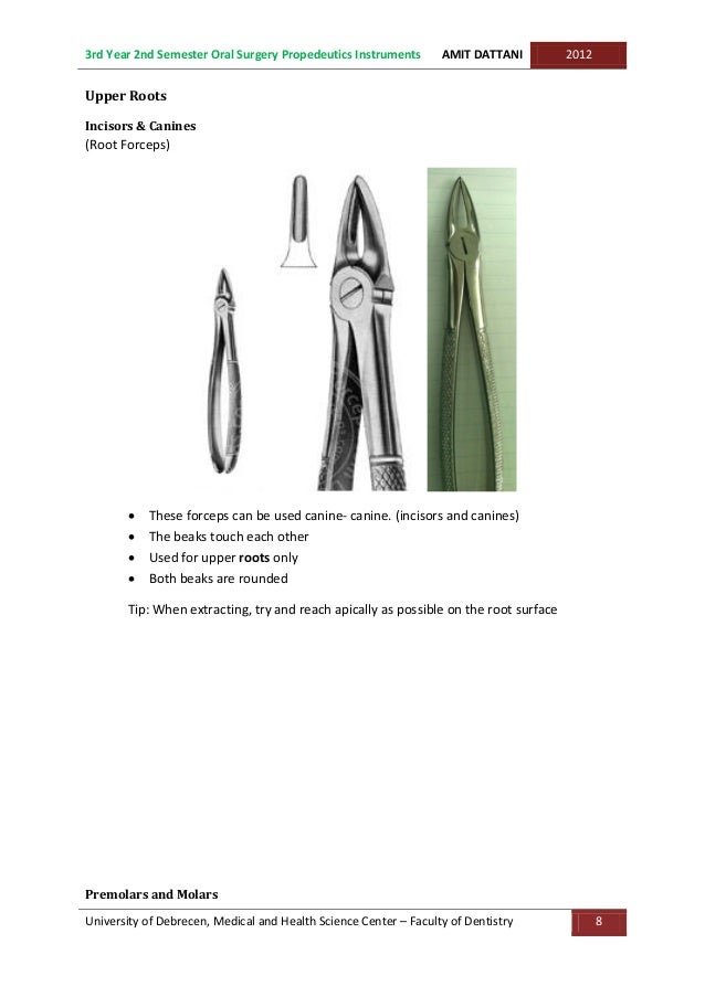Oral Surgery Basic Instruments for Exodontia