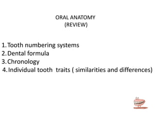 ORAL ANATOMY
(REVIEW)

1.Tooth numbering systems
2.Dental formula
3.Chronology
4.Individual tooth traits ( similarities and differences)

 