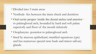 Anatomy of the oral cavity in detailed format | PPTX