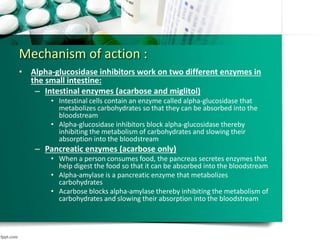 Mechanism of action :
• Alpha-glucosidase inhibitors work on two different enzymes in
the small intestine:
– Intestinal enzymes (acarbose and miglitol)
• Intestinal cells contain an enzyme called alpha-glucosidase that
metabolizes carbohydrates so that they can be absorbed into the
bloodstream
• Alpha-glucosidase inhibitors block alpha-glucosidase thereby
inhibiting the metabolism of carbohydrates and slowing their
absorption into the bloodstream
– Pancreatic enzymes (acarbose only)
• When a person consumes food, the pancreas secretes enzymes that
help digest the food so that it can be absorbed into the bloodstream
• Alpha-amylase is a pancreatic enzyme that metabolizes
carbohydrates
• Acarbose blocks alpha-amylase thereby inhibiting the metabolism of
carbohydrates and slowing their absorption into the bloodstream
 