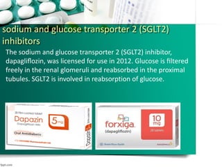 sodium and glucose transporter 2 (SGLT2)
inhibitors
The sodium and glucose transporter 2 (SGLT2) inhibitor,
dapagliﬂozin, was licensed for use in 2012. Glucose is ﬁltered
freely in the renal glomeruli and reabsorbed in the proximal
tubules. SGLT2 is involved in reabsorption of glucose.
 