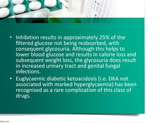 • Inhibition results in approximately 25% of the
ﬁltered glucose not being reabsorbed, with
consequent glycosuria. Although this helps to
lower blood glucose and results in calorie loss and
subsequent weight loss, the glycosuria does result
in increased urinary tract and genital fungal
infections.
• Euglycaemic diabetic ketoacidosis (i.e. DKA not
associated with marked hyperglycaemia) has been
recognised as a rare complication of this class of
drugs.
 