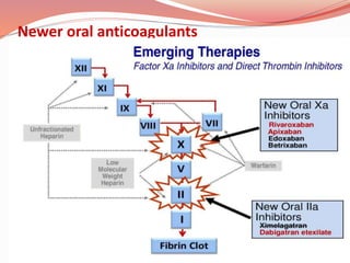 Newer oral anticoagulants
 