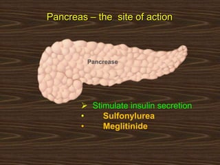 Pancreas – the site of action
 Stimulate insulin secretion
• Sulfonylurea
• Meglitinide
Pancrease
 