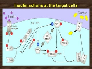 Insulin actions at the target cells
 
