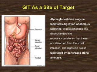 GIT As a Site of Target
Alpha glucosidase enzyme
facilitates digestion of complex
starches, oligosaccharides and
disaccharides into
monosaccharides so that these
are absorbed from the small
intestine. The digestion is also
facilitated by pancreatic alpha
amylase.
 