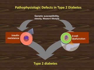 Insulin
resistance
Genetic susceptibility,
obesity, Western lifestyle
Type 2 diabetes
IR
b-cell
dysfunctionb
Pathophysiologic Defects in Type 2 Diabetes
 