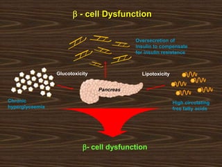 b - cell Dysfunction
Chronic
hyperglycaemia
Oversecretion of
insulin to compensate
for insulin resistance
High circulating
free fatty acids
Glucotoxicity
Pancreas
Lipotoxicity
b- cell dysfunction
 