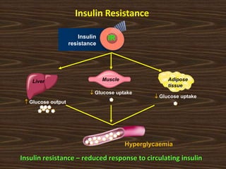 Insulin resistance – reduced response to circulating insulin
Insulin
resistance
 Glucose output
 Glucose uptake
 Glucose uptake
Hyperglycaemia
Liver Muscle Adipose
tissue
IR
Insulin Resistance
 