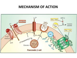 MECHANISM OF ACTION
 