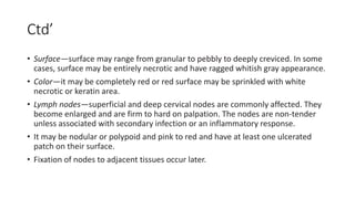 Ctd’
• Surface—surface may range from granular to pebbly to deeply creviced. In some
cases, surface may be entirely necrotic and have ragged whitish gray appearance.
• Color—it may be completely red or red surface may be sprinkled with white
necrotic or keratin area.
• Lymph nodes—superficial and deep cervical nodes are commonly affected. They
become enlarged and are firm to hard on palpation. The nodes are non-tender
unless associated with secondary infection or an inflammatory response.
• It may be nodular or polypoid and pink to red and have at least one ulcerated
patch on their surface.
• Fixation of nodes to adjacent tissues occur later.
 